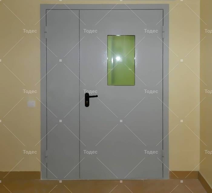 Kupit Protivopozharnye Dveri V Liftovoj Holl Cena Ot 8300 Rub V Krasnoarmejske